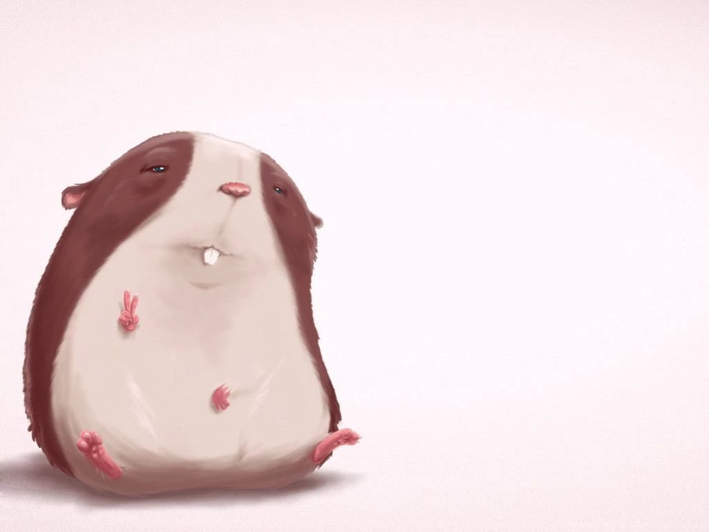 Funny Hamsters Wallpapers For Widescreen Funny Animal ...