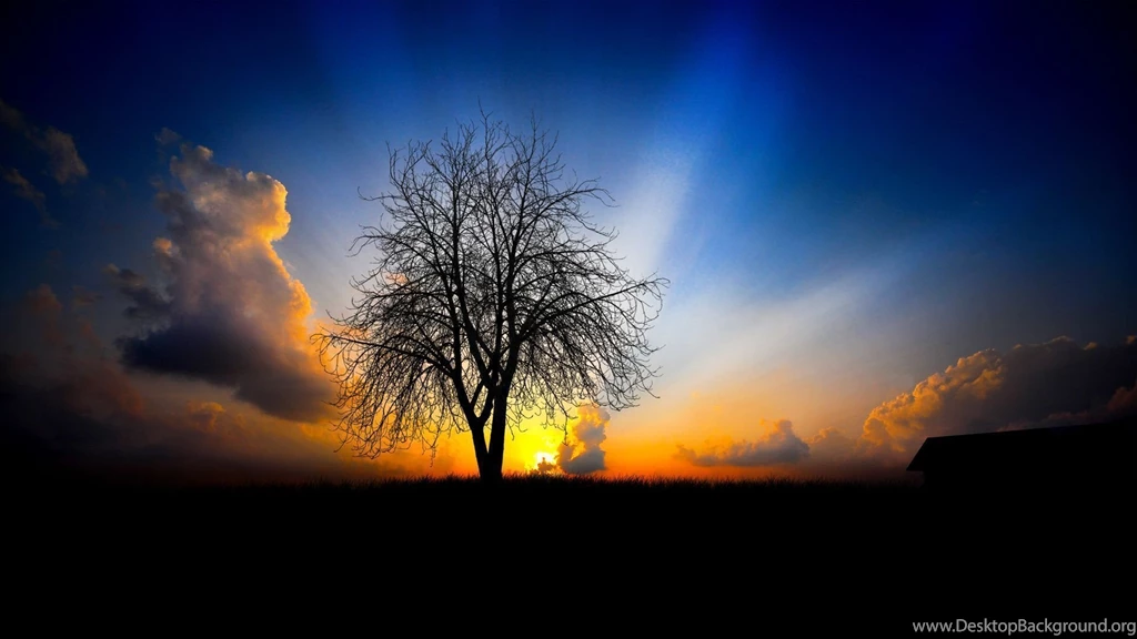 Full HD 1080p Wallpapers Wallmanage.com