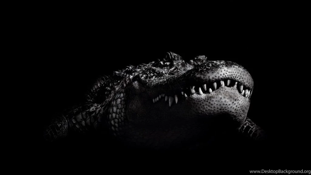 Crocodile By PkufeIgiglf On DeviantArt