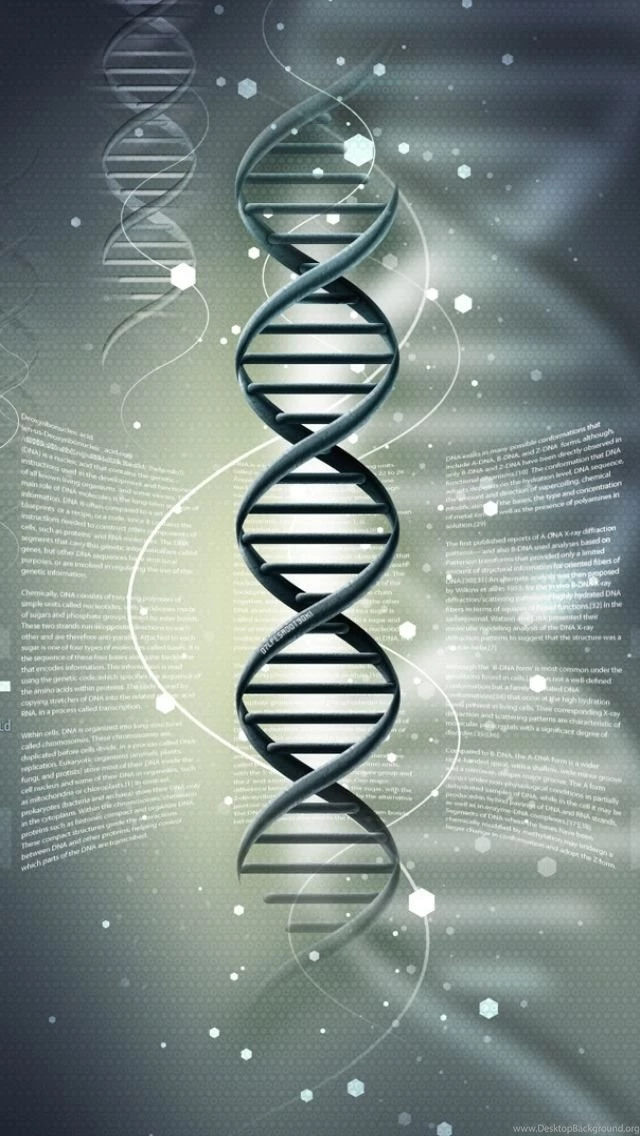 iPhone 5 Technology/Physics And Chemistry Wallpapers ID: 184279