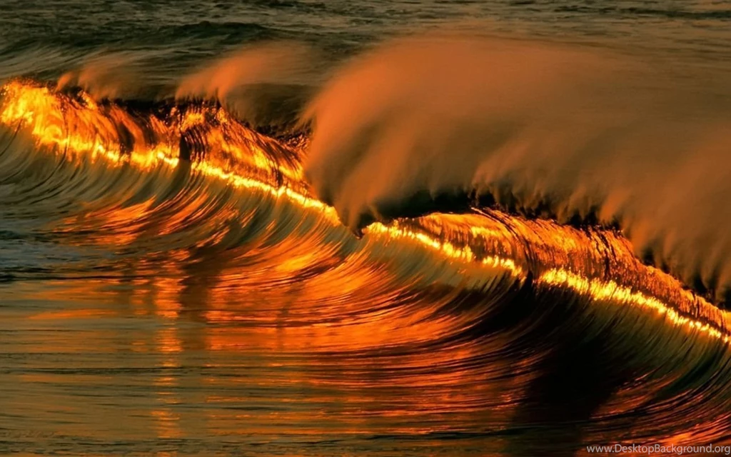Golden_wave_wallpaper_other_nature_wallpaper_1280_800_widescreen_1368.jpg