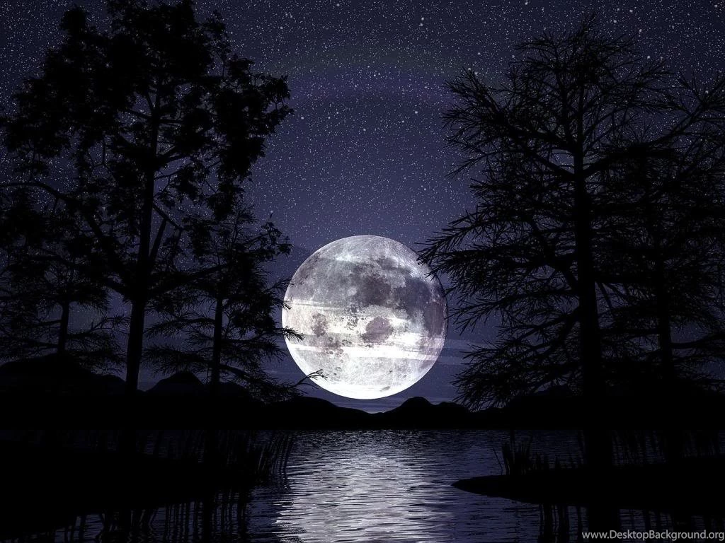 Gothic Wallpapers_hd Wallpaper_download Free Wallpapers