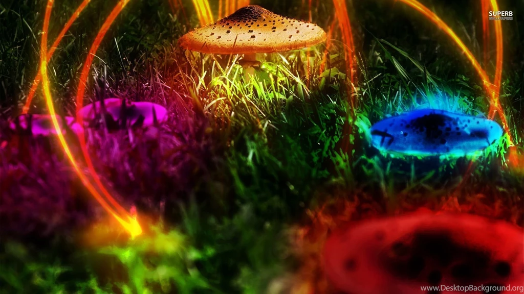 Colorful Mushrooms Wallpapers Digital Art Wallpapers