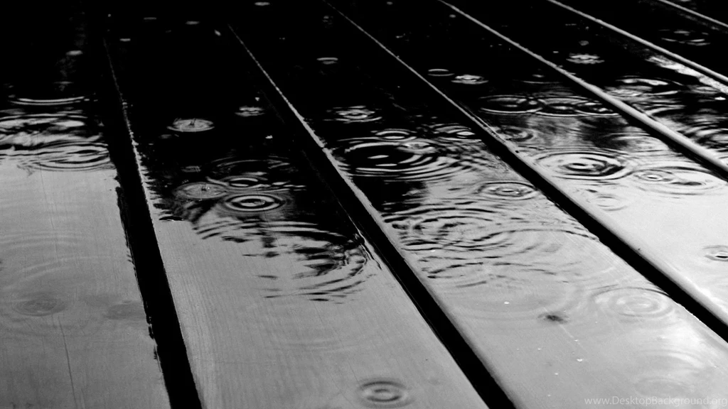 Monsoon Latest Wallpapers Download Valentine's Day 2016 HD ...