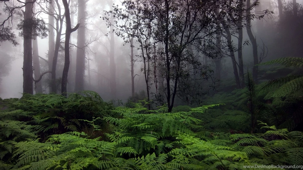 Hd Wallpapers Rain 1920x1080