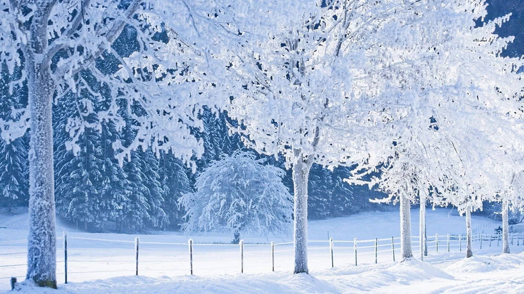 Snowy Backgrounds