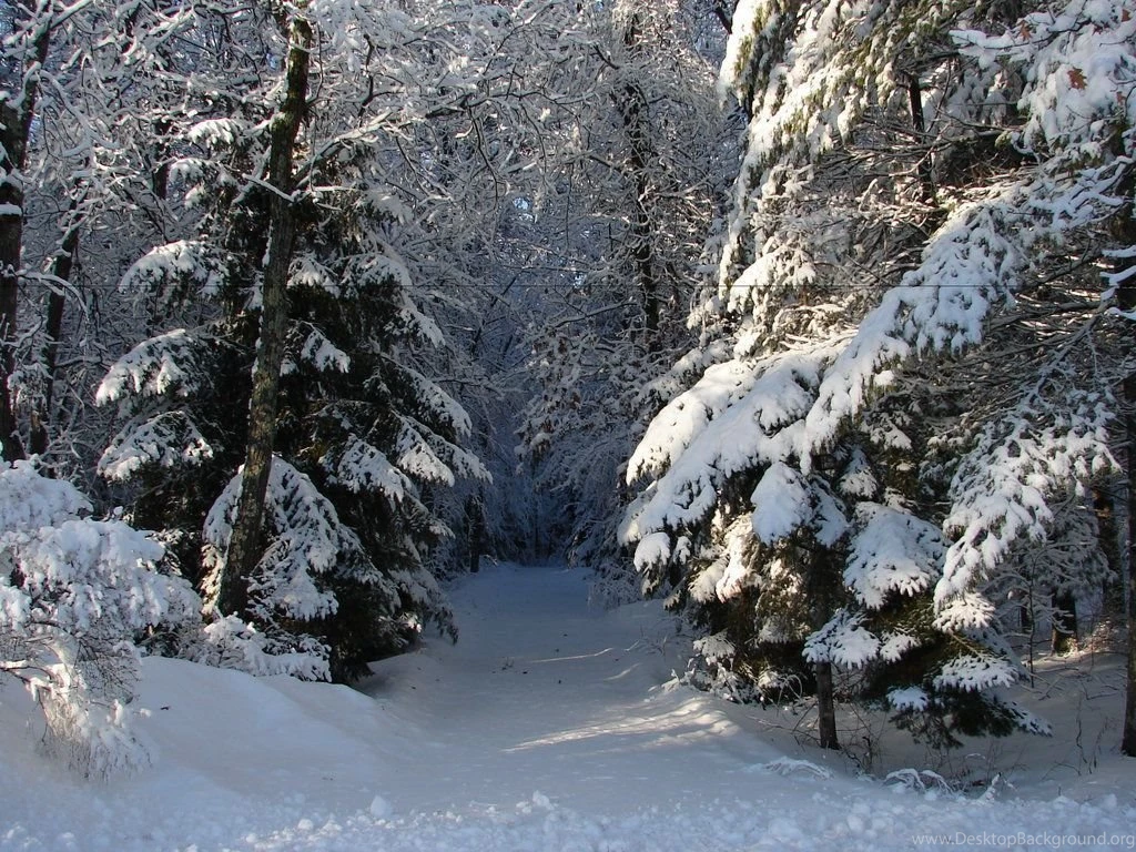 Snowy Landscape Backgrounds 05 By FantasyStock On DeviantArt