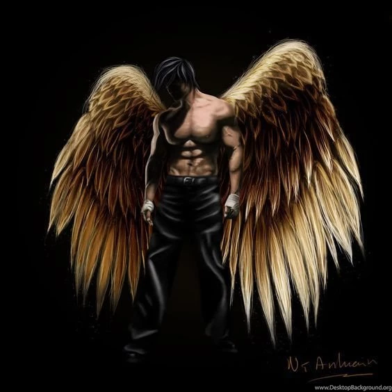 Black Golden Male Angel: Http://fantasy backgrounds wallpapers.com ...