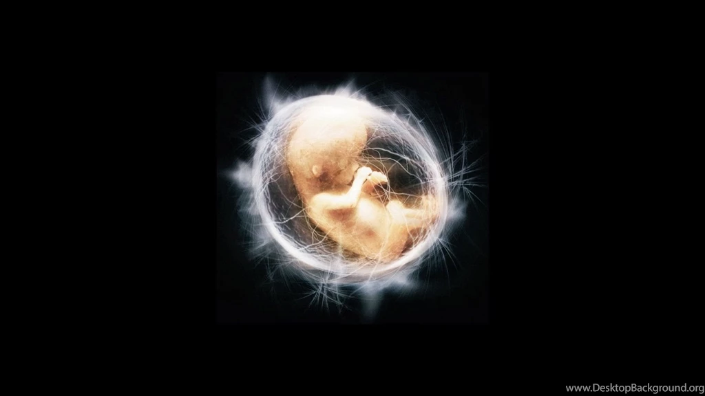 12 Children Of Men HD Wallpapers