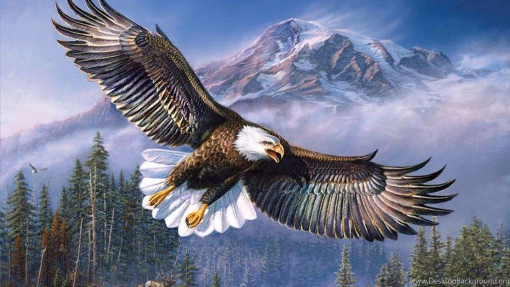 Image result for eagle hd pics