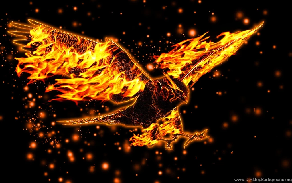 Burning Eagle Wallpapers