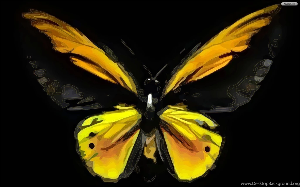 High Definition Butterfly Wallpapers For Free Download