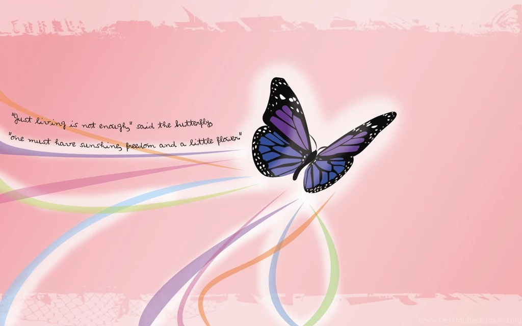 Butterfly Wallpapers