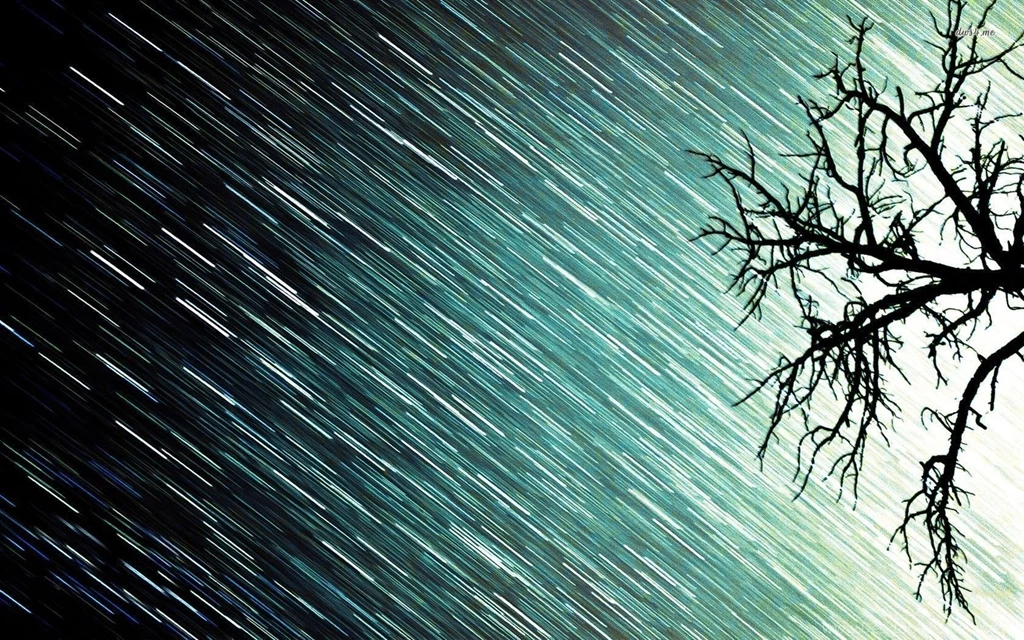 Rain Wallpapers Nature Wallpapers