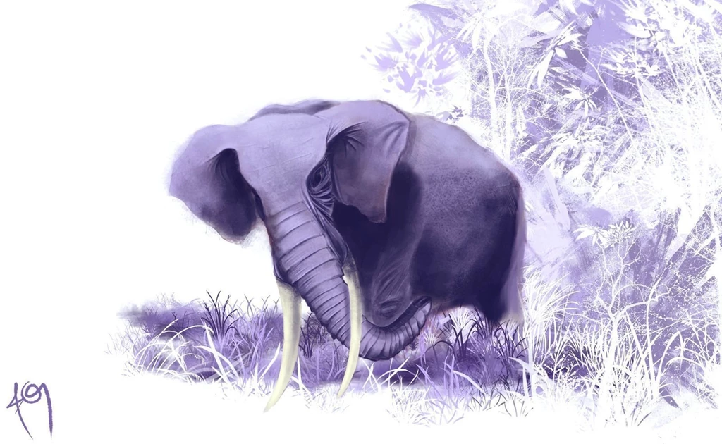 Elephant Computer Wallpapers, Desktop Backgrounds