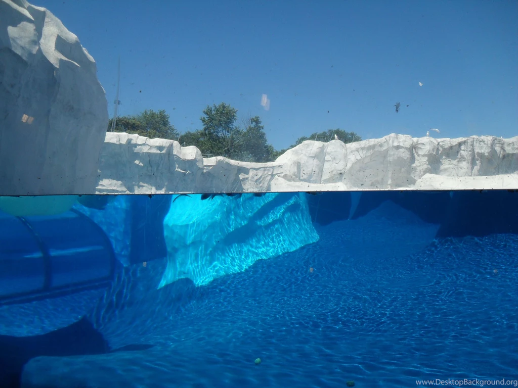 Underwater Iceberg Wallpapers   Wallpaper.