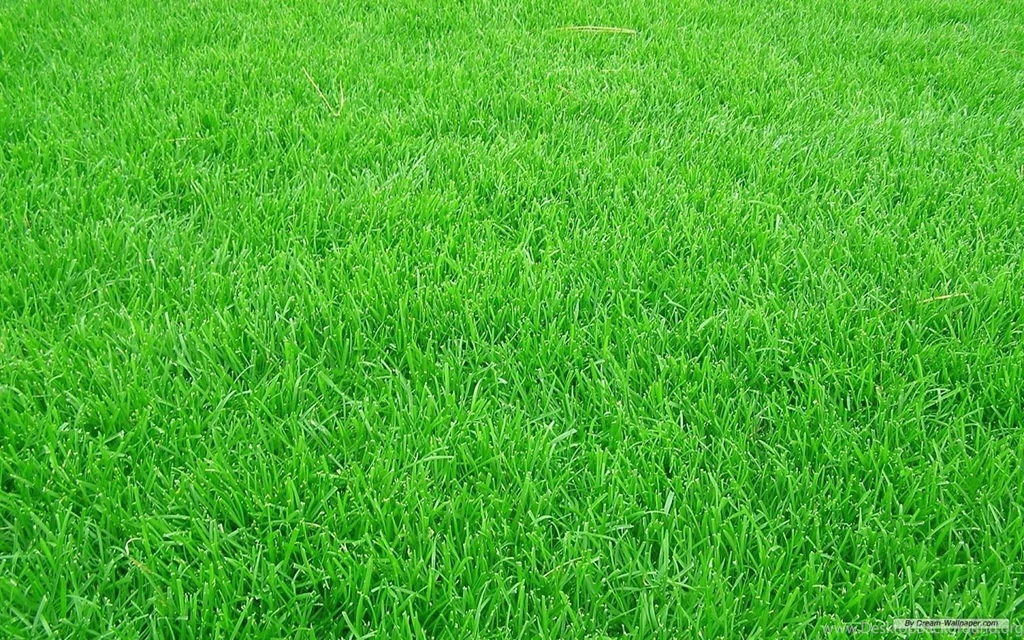 Free Wallpapers Free Nature Wallpapers Grass Football Pitches ...