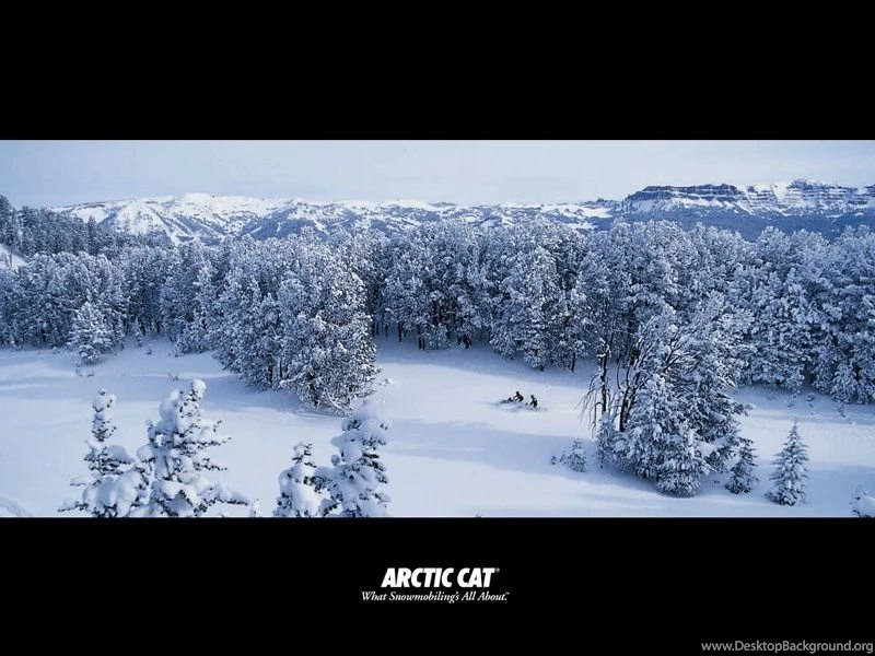 Powder Players Snowmobile Club Arctic Cat Wallpapers