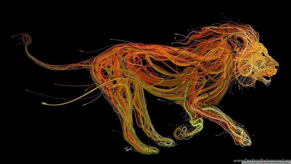 Lion HD Desktop Wallpapers : Widescreen : High Definition : Fullscreen