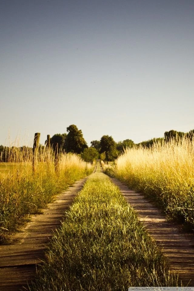 Country Road, Late Summer HD Desktop Wallpapers : High Definition ...