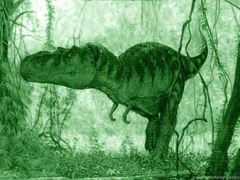 Whimondifa: Dinosaur Wallpapers