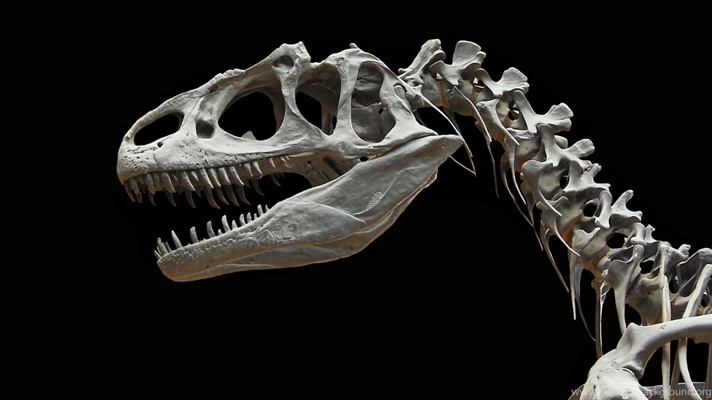 Dinosaurs Wallpapers 485