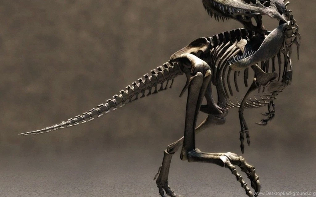 Dinosaurs Wallpapers 030, Free Desktop Wallpapers, Cool Wallpapers