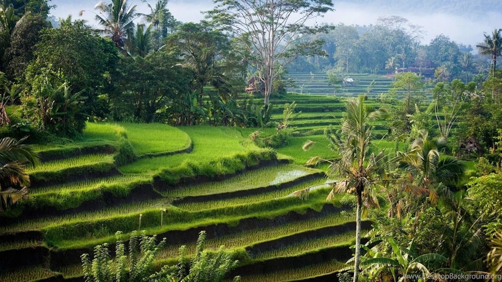 Bali Beautiful Nature 02