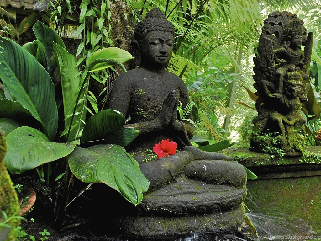 Buddha In The Jungle On Bali Wallpapers And Images Wallpapers ...