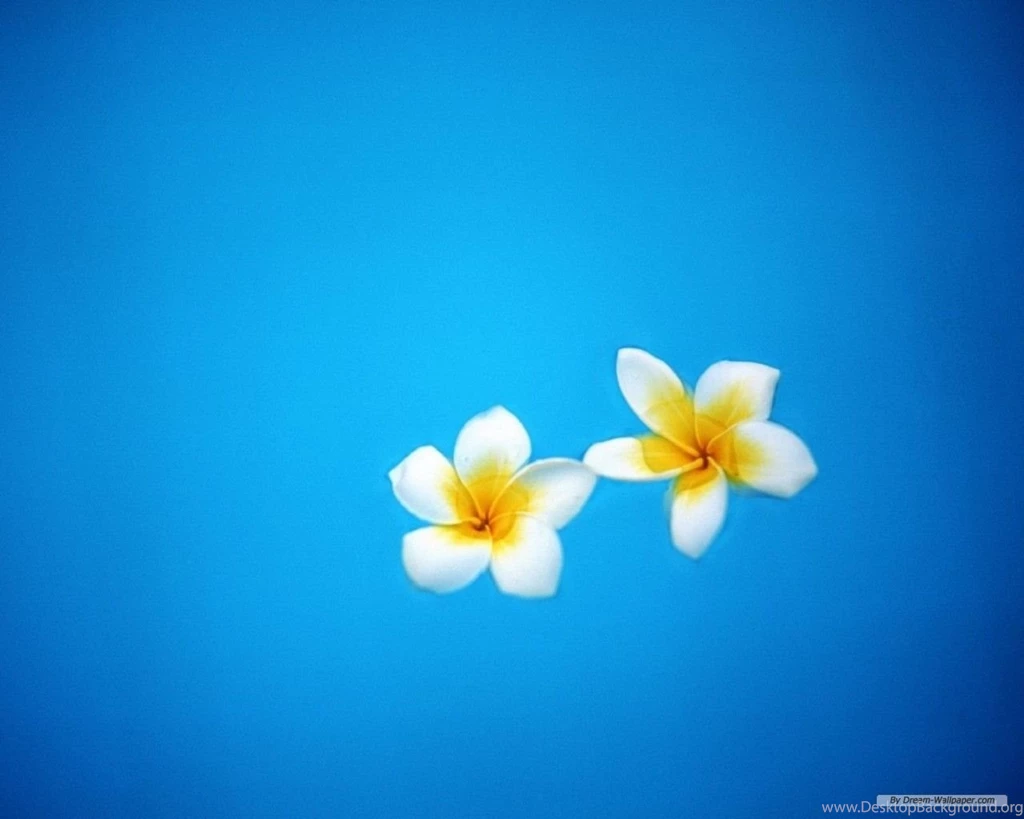 Free Wallpapers Free Travel Wallpapers Bali 1 Wallpapers ...