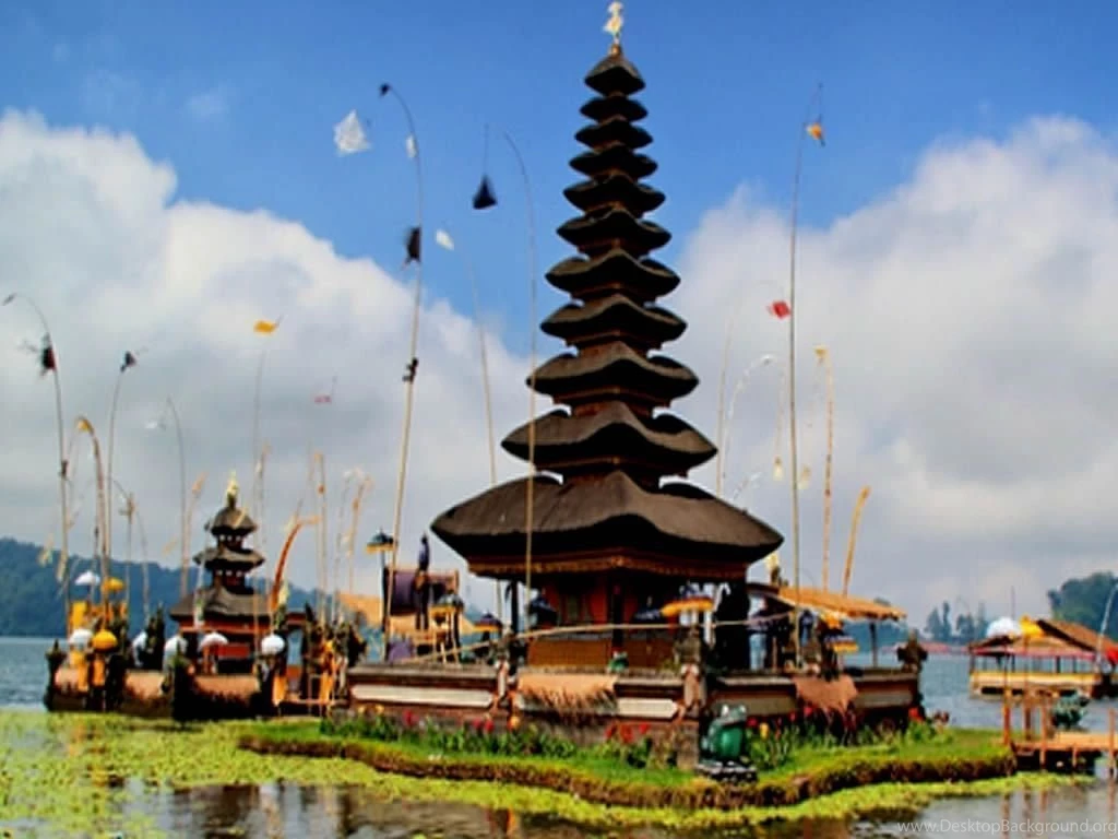 English Cat: Bali Wallpapers