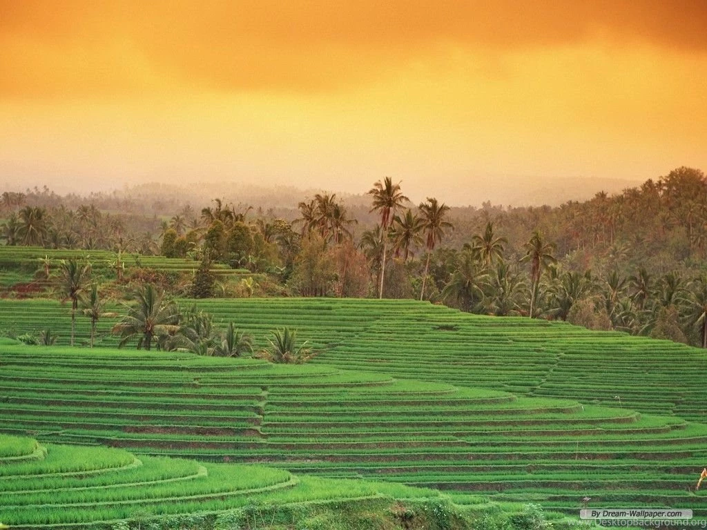 Free Wallpapers   Free Travel Wallpapers   Bali 1 Wallpapers ...