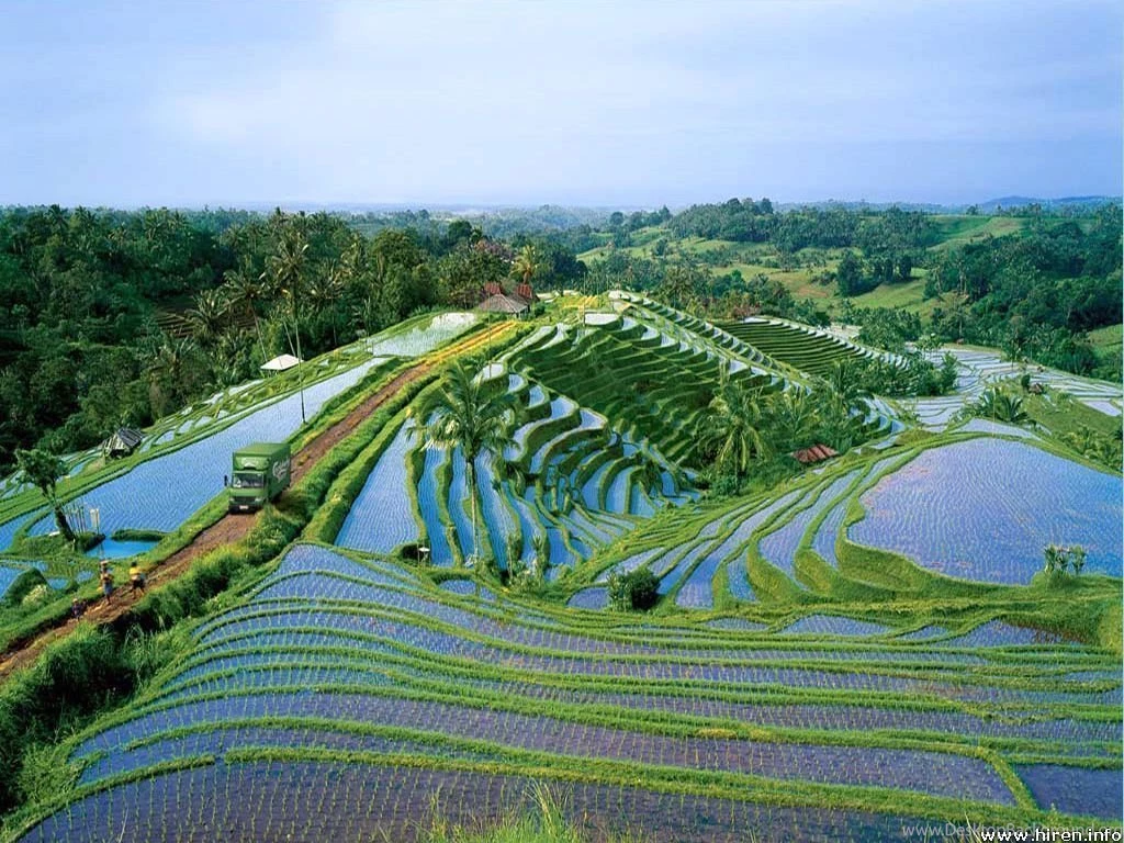 Bali Island Is A Dream Come True   TravelTats