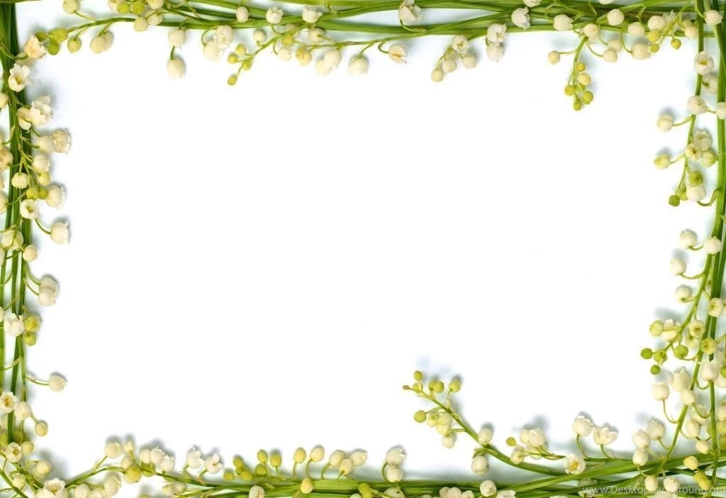 Floral Wallpapers Borders Amazing With Images Of Floral Wallpapers ...