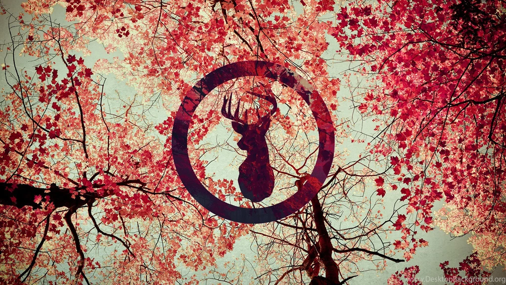 Silhouette Of A Deer On A Backgrounds Of Autumn Leaves Wallpapers ...