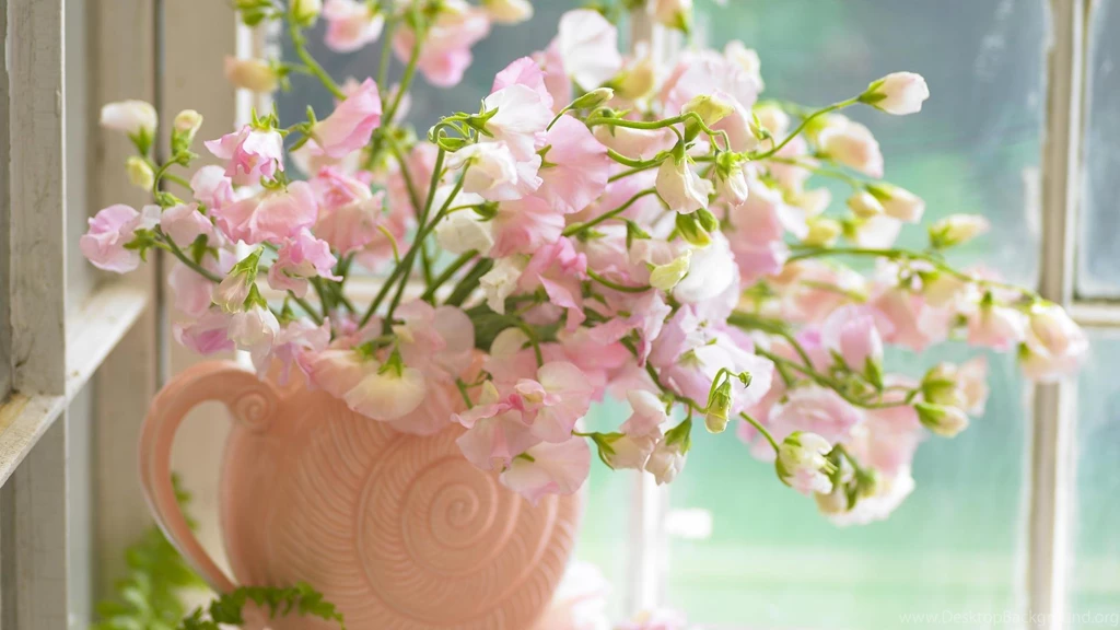 Wallpapers In Flower HD Wallpapers Lovely