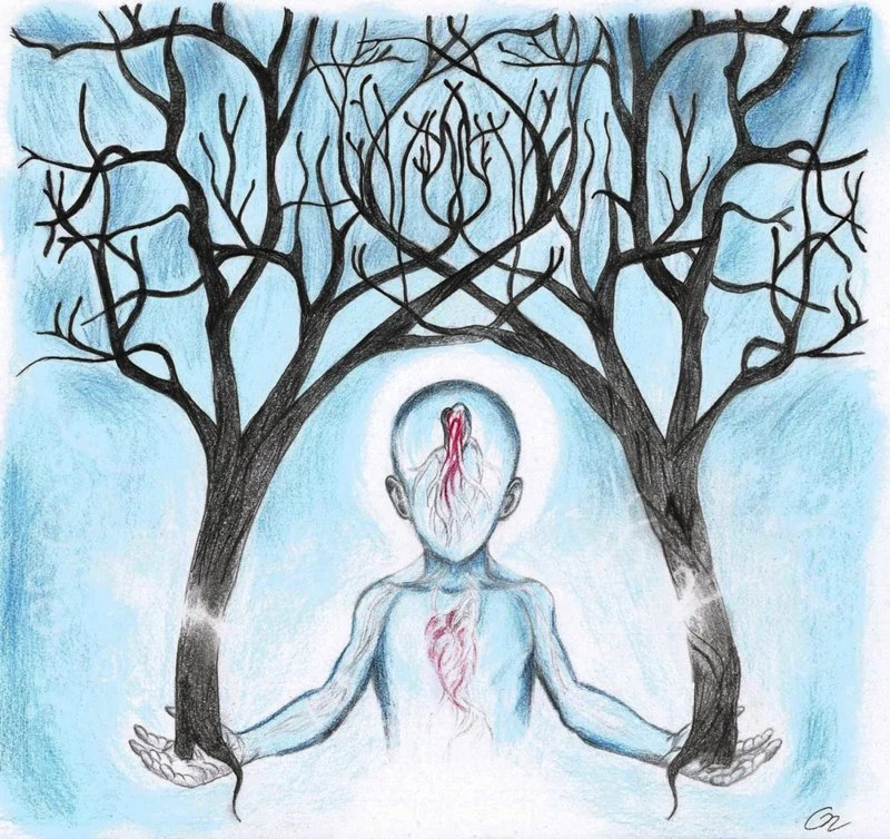Wcar DeviantArt