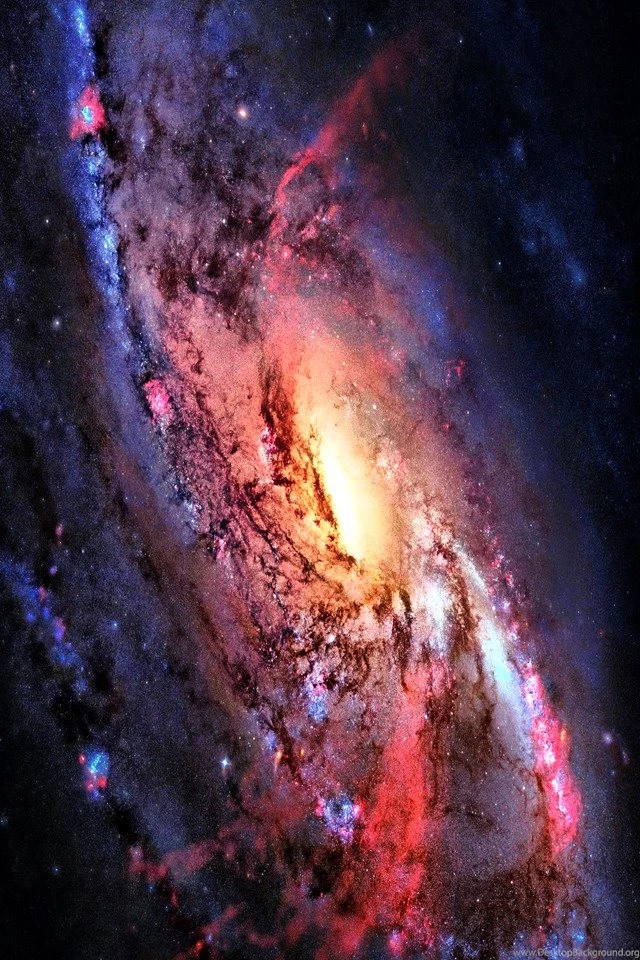 Search   All Page   6