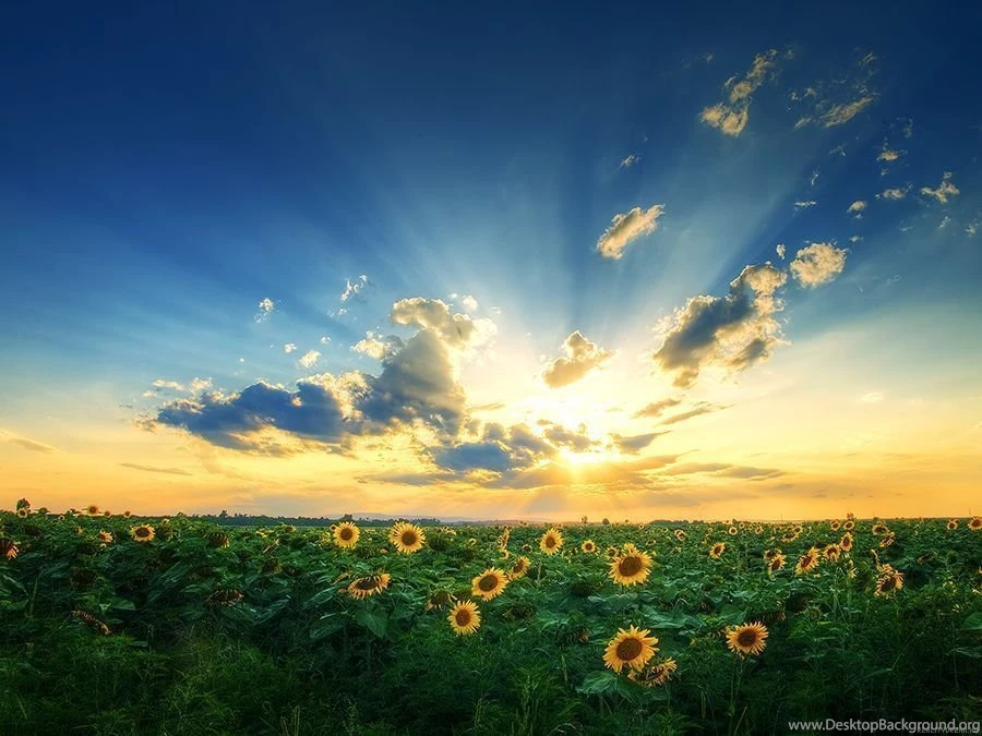 Best Sources For Desktop Pictures Free Downloads: Pictures For ...