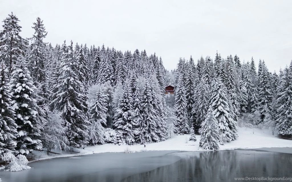 Nature_1 1024x640.jpg
