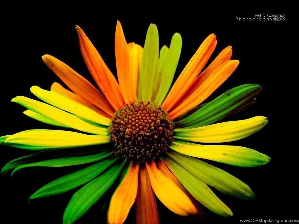 Best Wallpapers For Desktop Wallpapers 44516