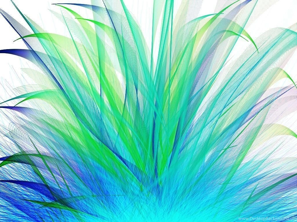 Screen Background: Peacock Flare By Otaku Chan 266 On DeviantArt