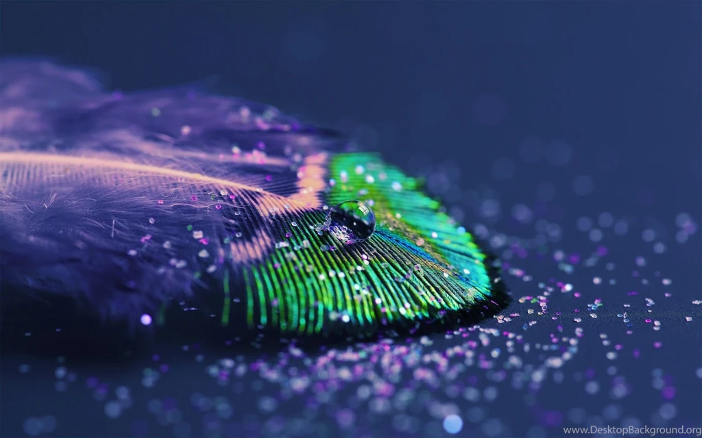Peacock Feathers HD Wallpapers, Peacock Feathers Backgrounds, New ...