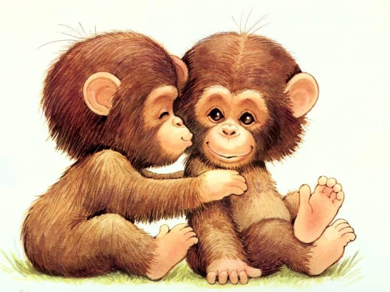 Download Cute Cartoon Monkey Wallpapers 800x600
