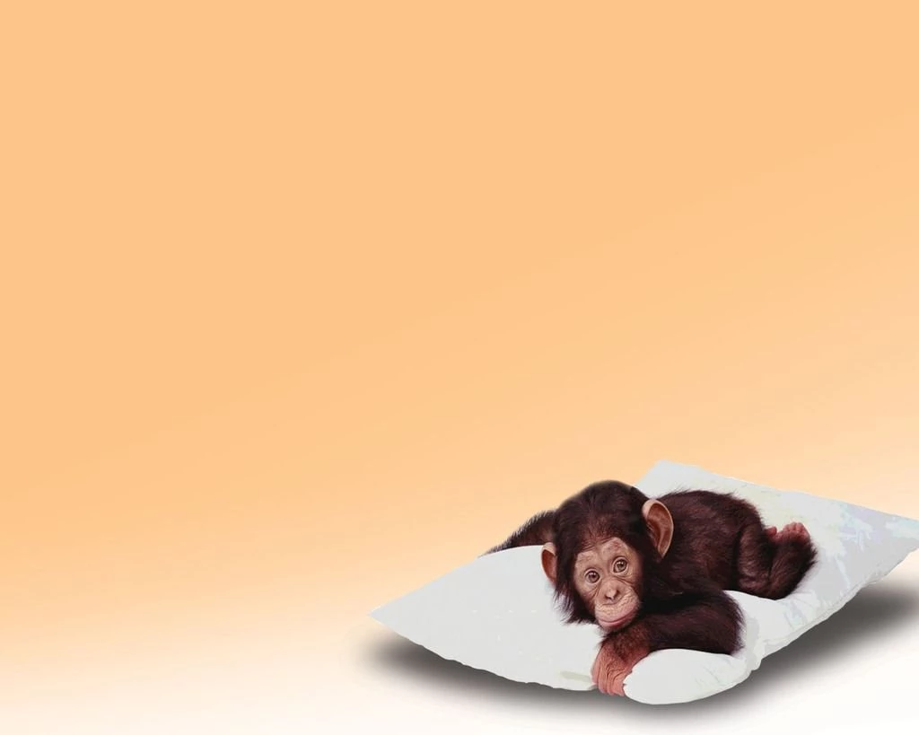 Free Cartoon Monkey Backgrounds For PowerPoint Cartoons PPT ...