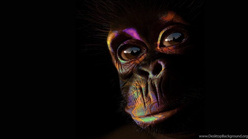 Monkey Computer Wallpapers, Desktop Backgrounds