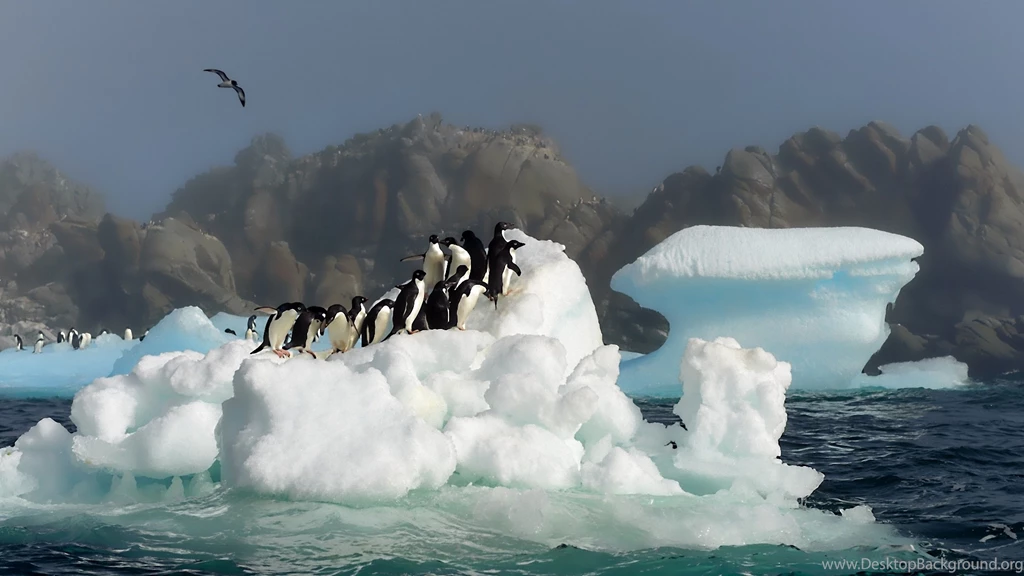 Download Wallpapers 3840x2160 Penguins, Birds, Jump, Snow, Water ...
