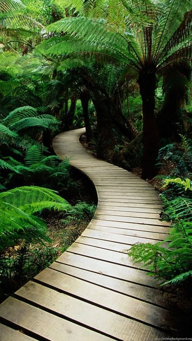 Ios_8_nature_wallpapers.jpg