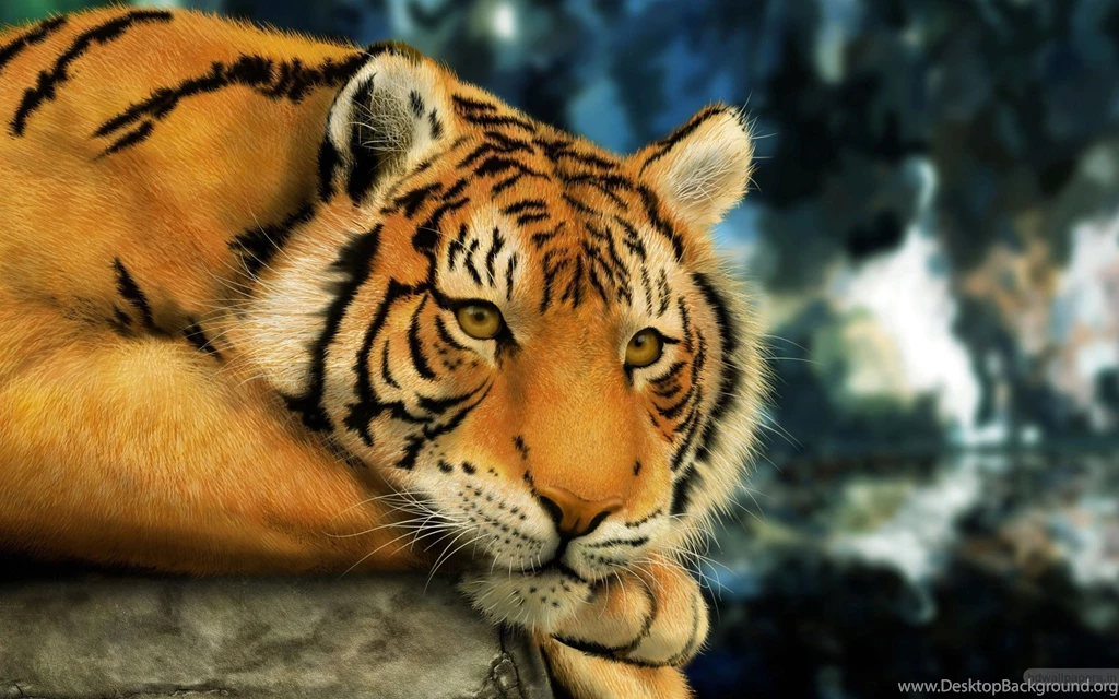 Tiger Painting Wallpapers