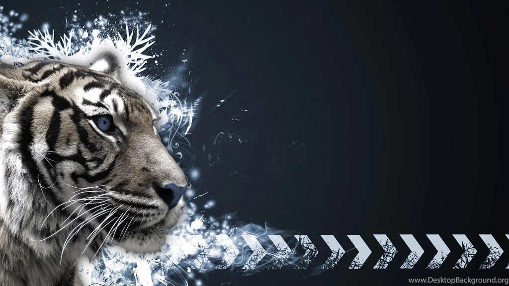 Tiger HD Animal Wallpapers